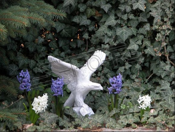 Figurine Eagle Garden Statue Sculpture Figures Statues Decoration New 103023