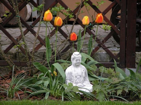 buddha malaysia statue figure garden figures statues sculpture sculptures S101049