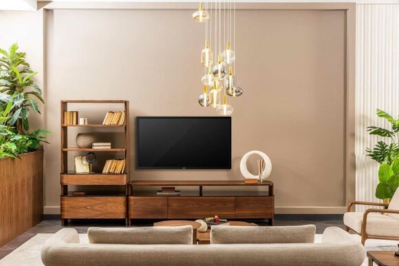 Wall unit TV stand bookshelves RTV lowboard sideboard brown wood set
