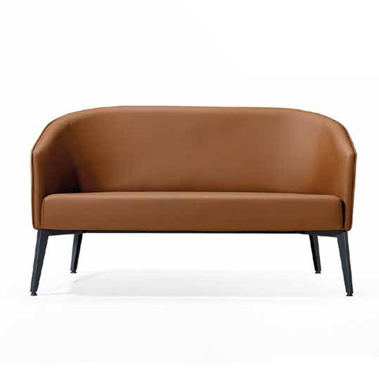 Waiting room furniture design - sofa lounge furniture leather sofa 2-seater brown.