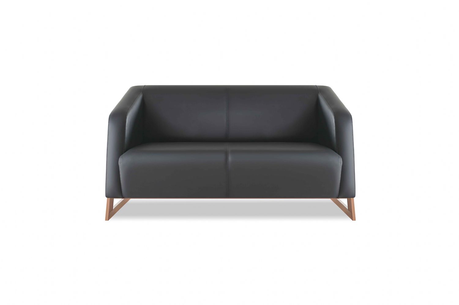 Sofa 2-Seater Black Leather Sofa Couch Modern Stainless Steel Leather Wood Soft