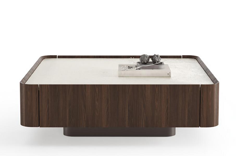 Luxurious brown coffee table harmonious table living room table elegant sofa table