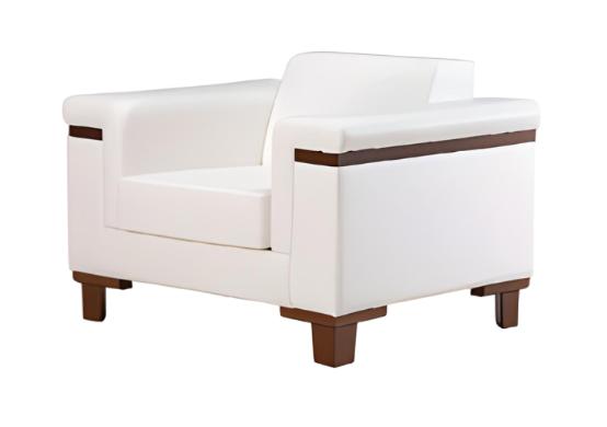 Chair Designer Furniture Office Furniture Sofa Chair Leather Chairs Upholstered Seat