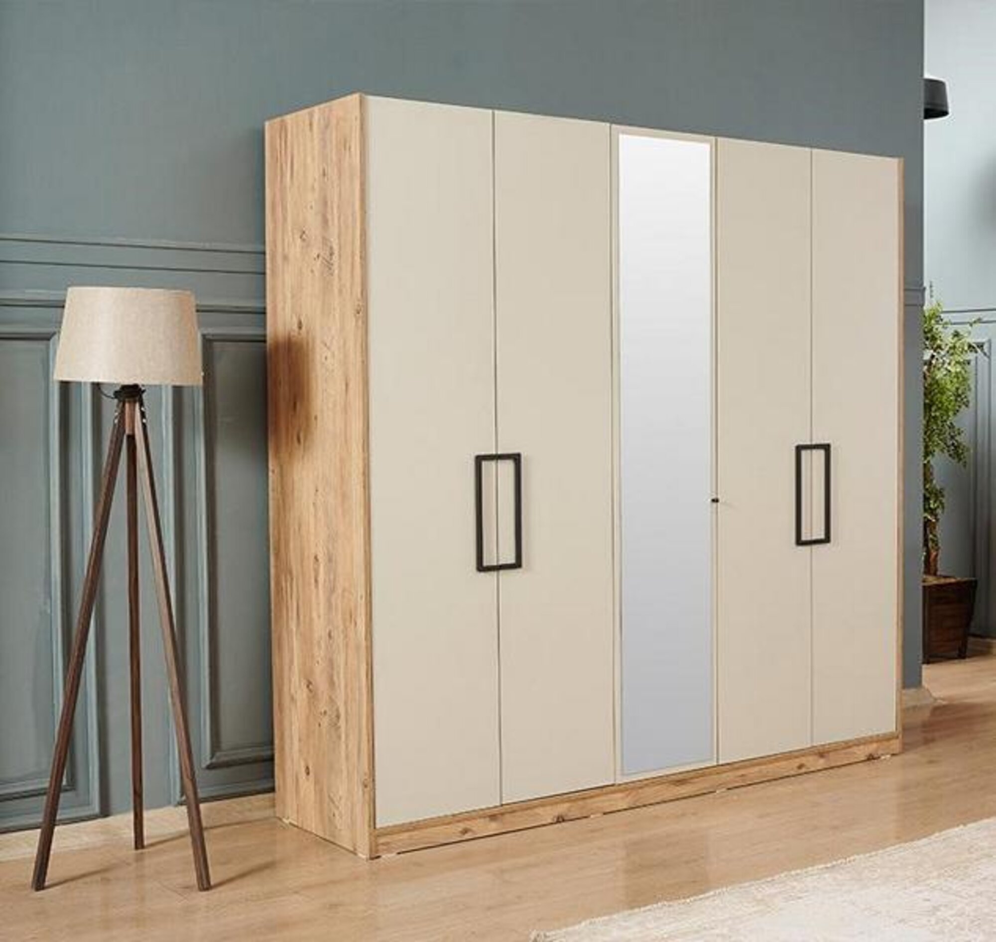 Cabinet wardrobe mirror cupboard furniture bedroom wardrobe cabinet wall