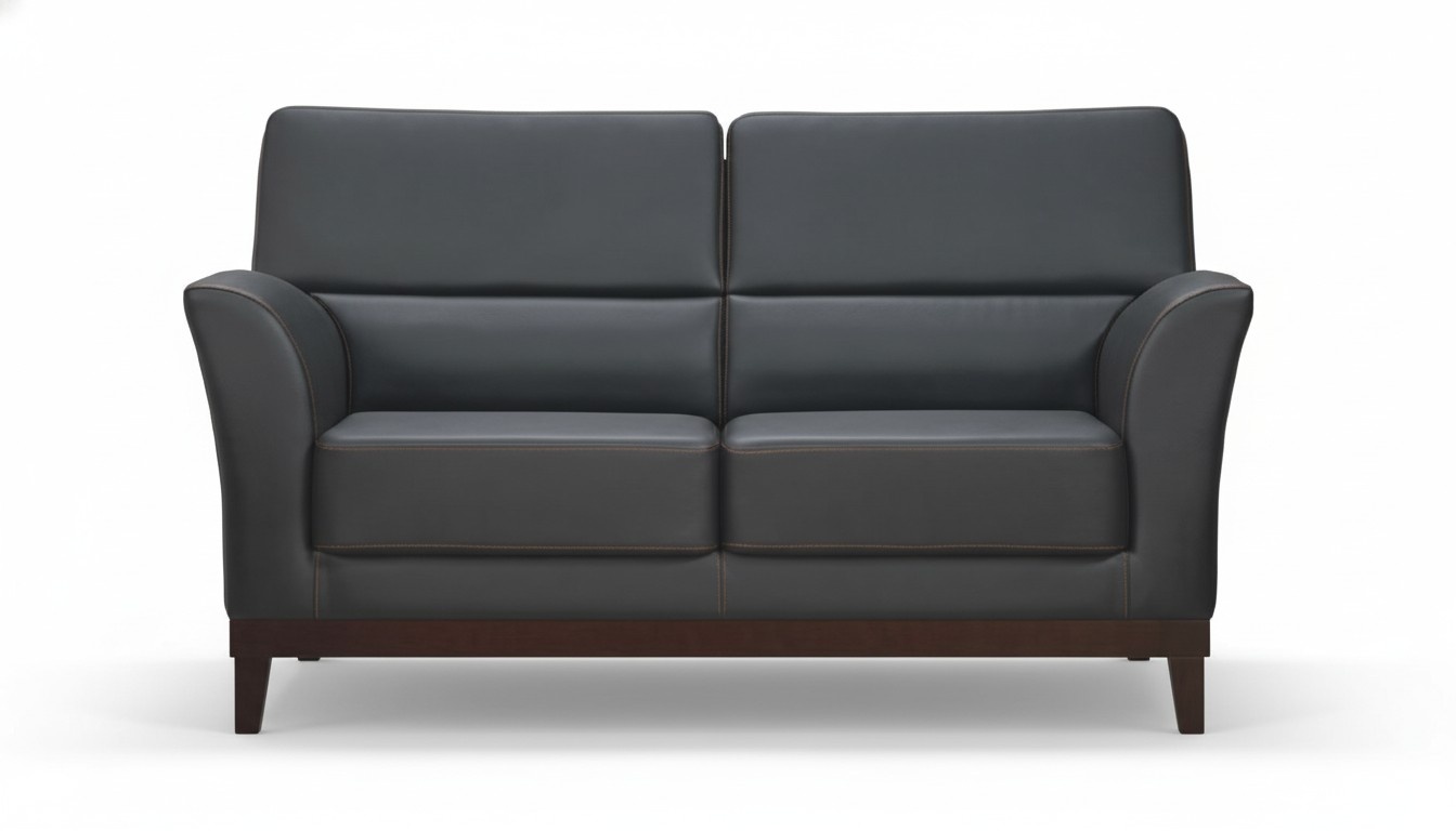 2-seater sofa couch upholstered sofas design sofa club leather