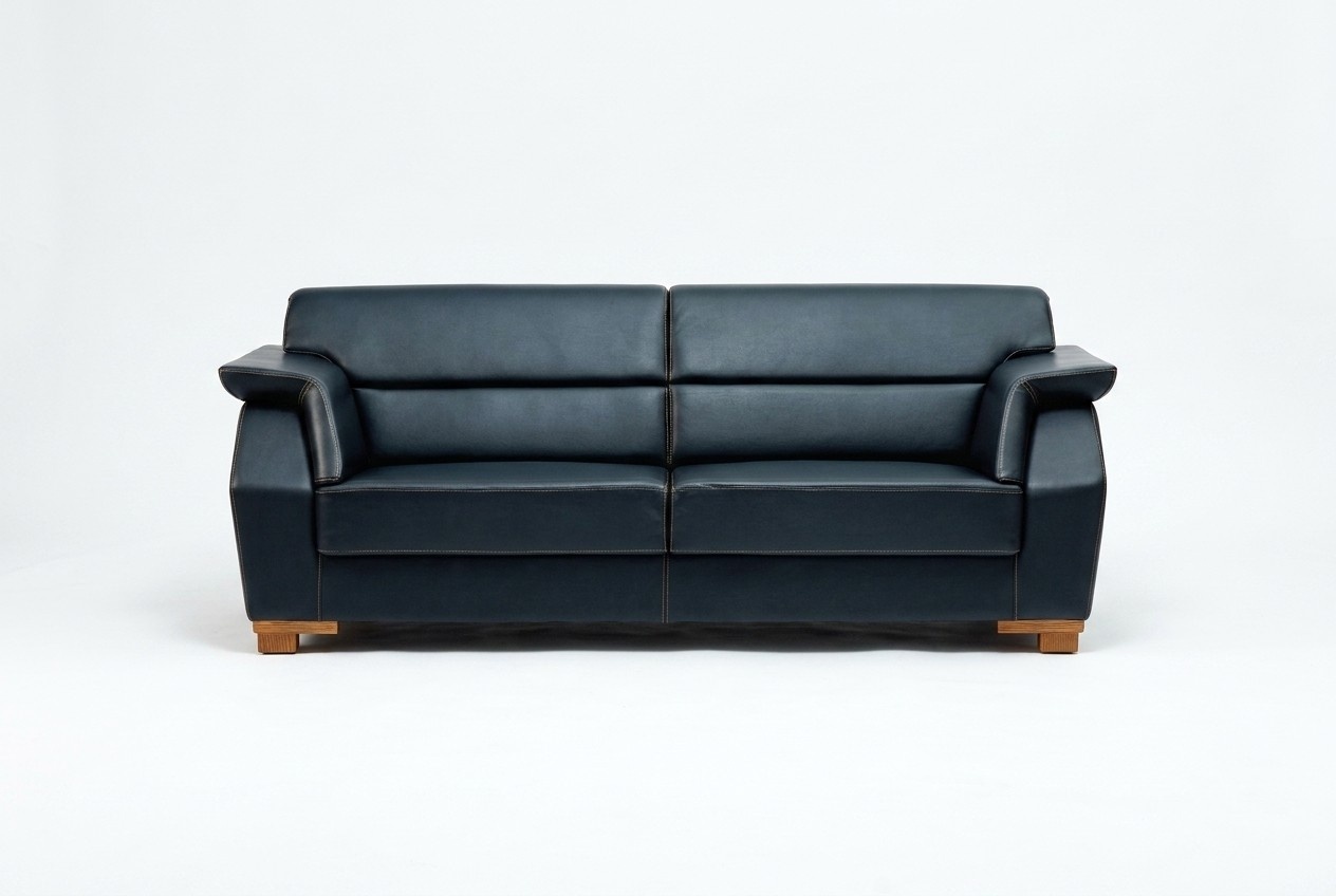 2 Seater Sofa Two-Seater Sofas Couch Upholstered Modern Couches Furniture