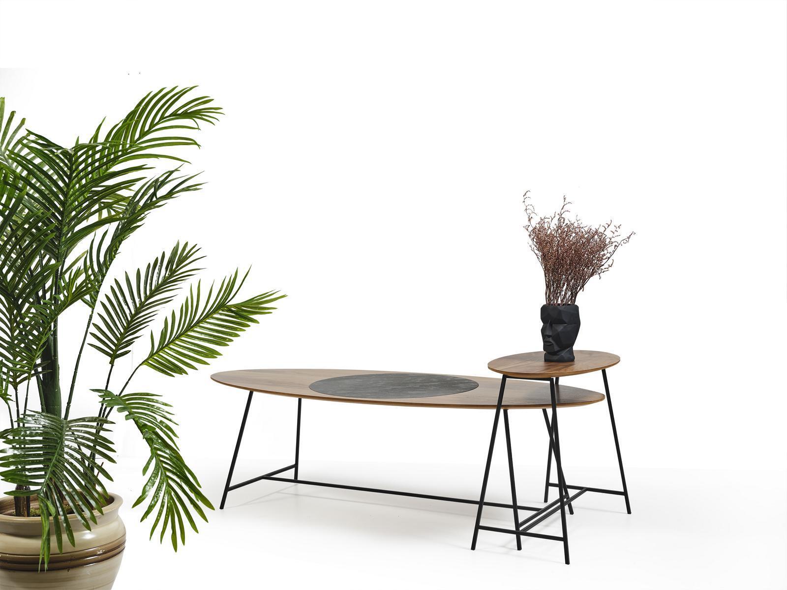 Modern table coffee table side table design living room wood oval 2 pcs.