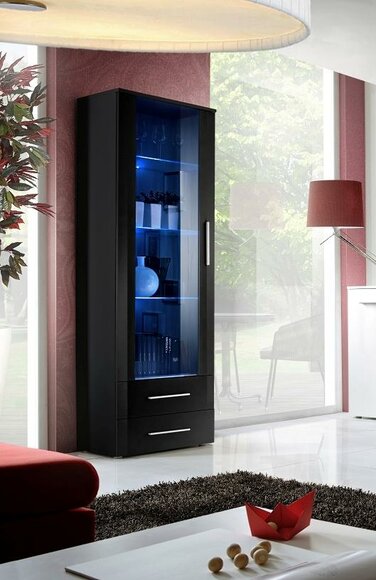 Black Showcase Living Room Furniture Modern Designer Style High Gloss Furnishings