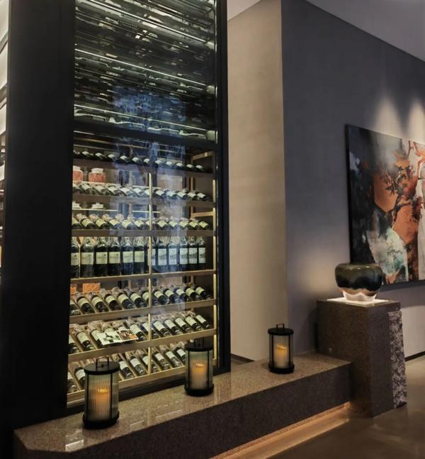 Wine cabinet wine cooler showcase wine furniture cabinet showcase