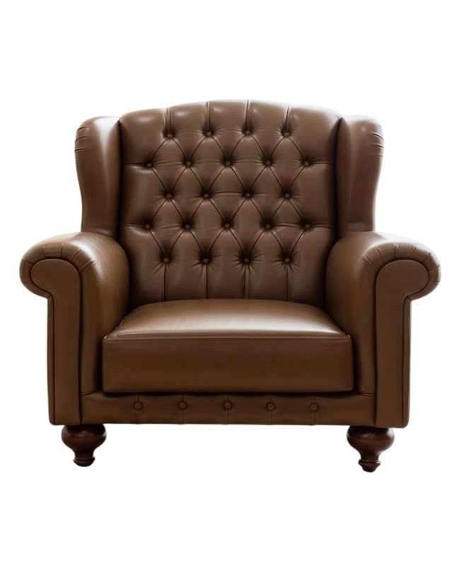 Comfortable armchair with an elegant design for your living room