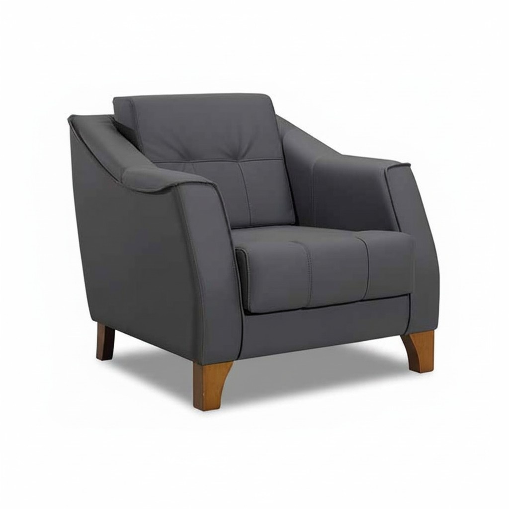 Armchair 1 Seater Leather Upholstered Furniture Modern Design Luxury Gray