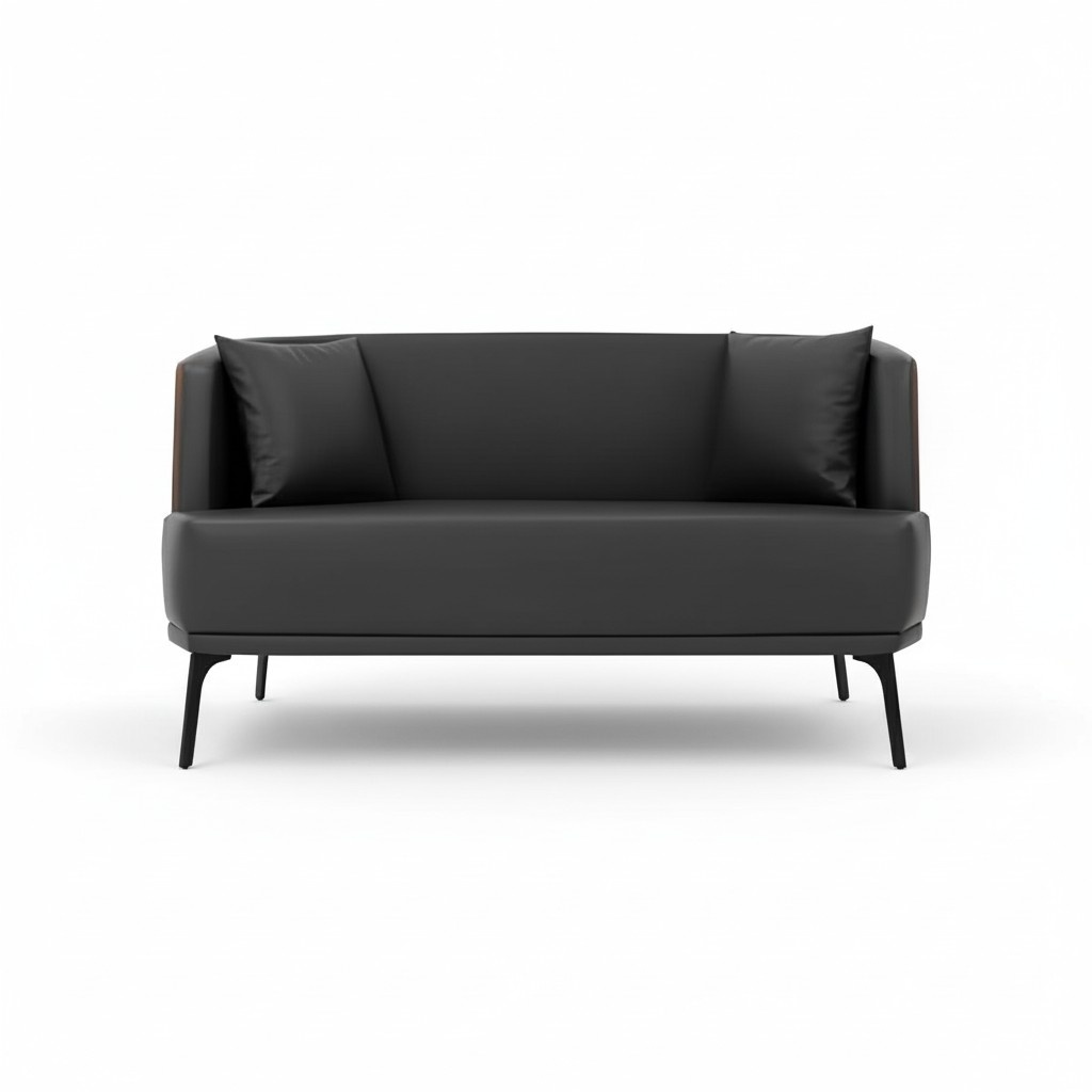 Black living room 2-seater upholstered faux leather sofa 2-seater leather couch