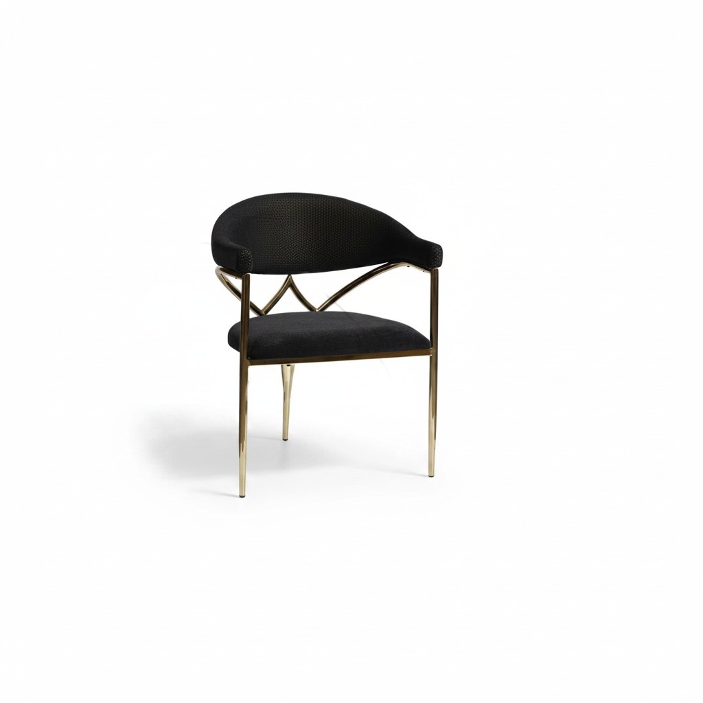 Black Stainless Steel Chair Wooden Frame Dining Room Chairs Modern Single Seater
