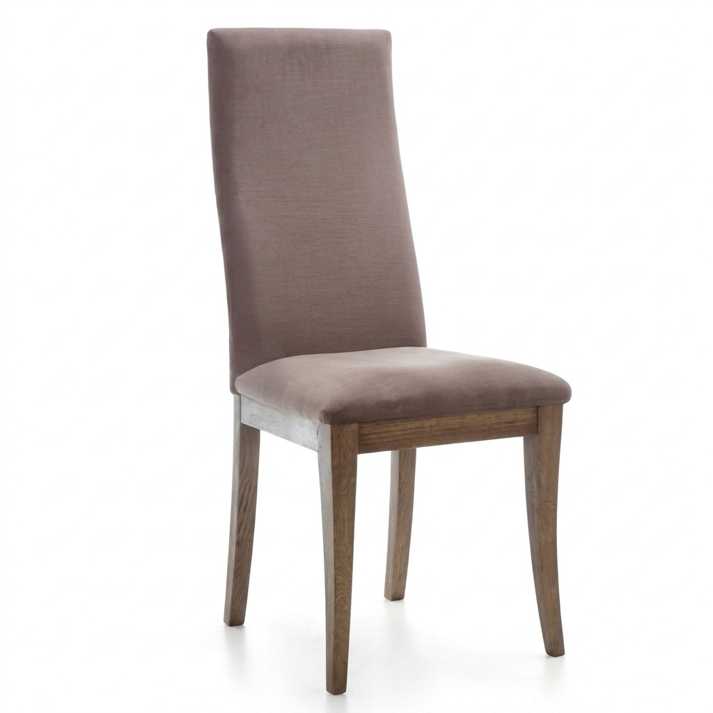 Chair dining chair recliner wooden chair designer chair armchair