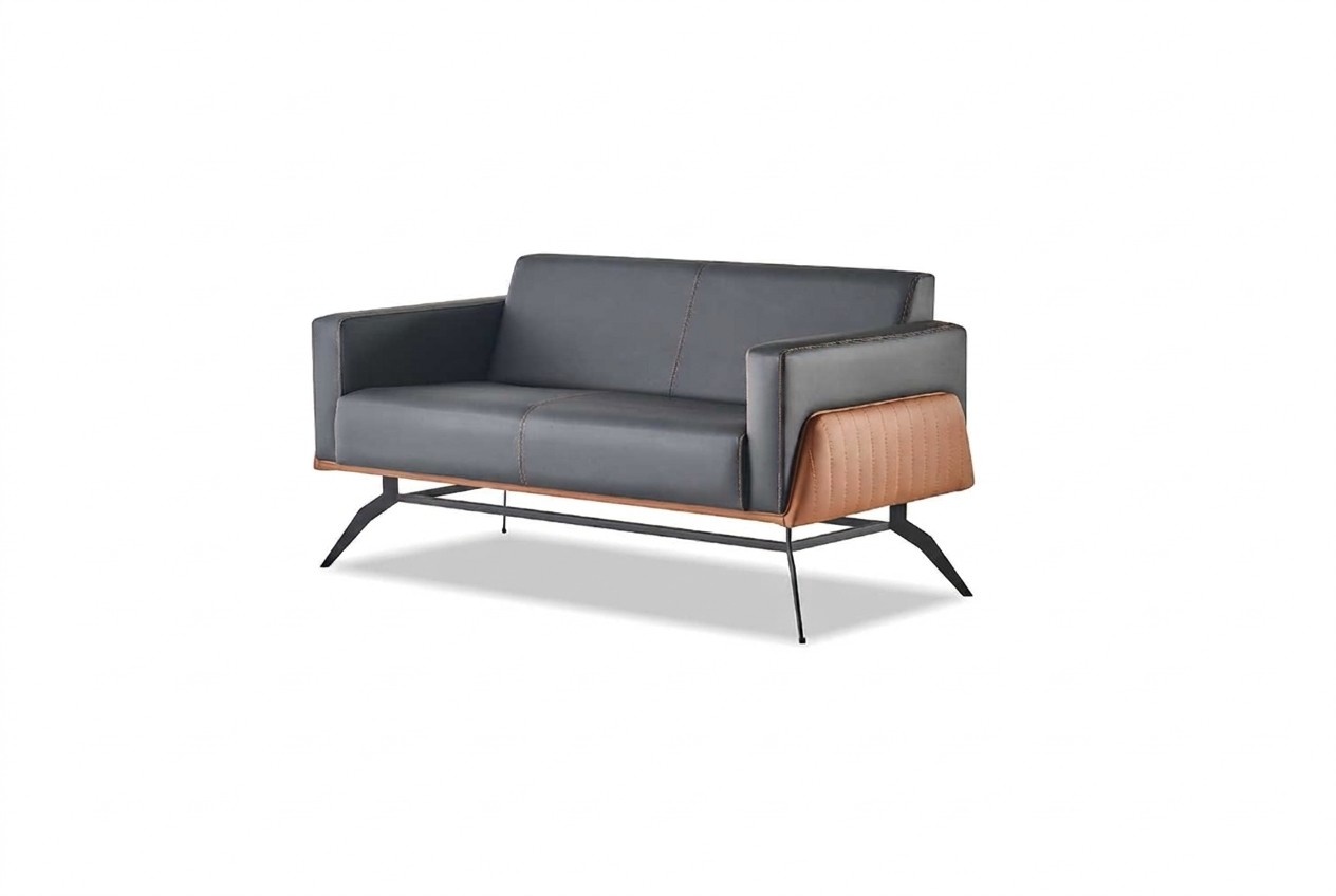 Black Brown Couch Sofa 2-Seater Leather Sofa Modern Stainless Steel Leather Wood