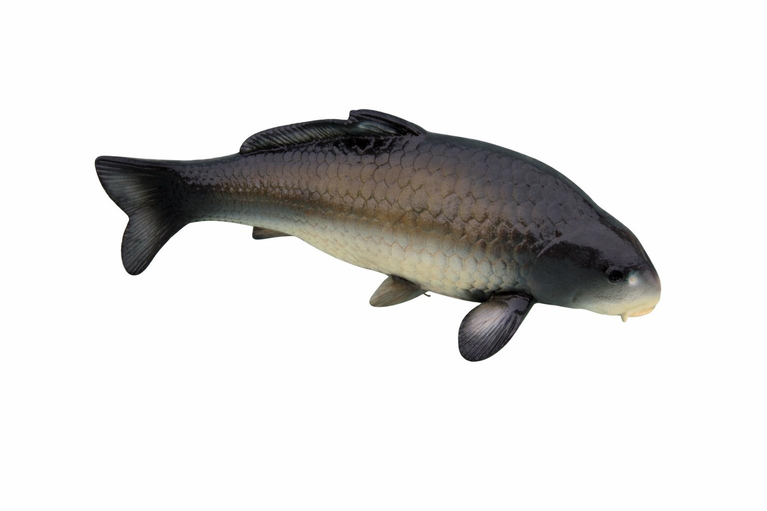 Natural colored gloss decor figure designed as a fish 27x66cm