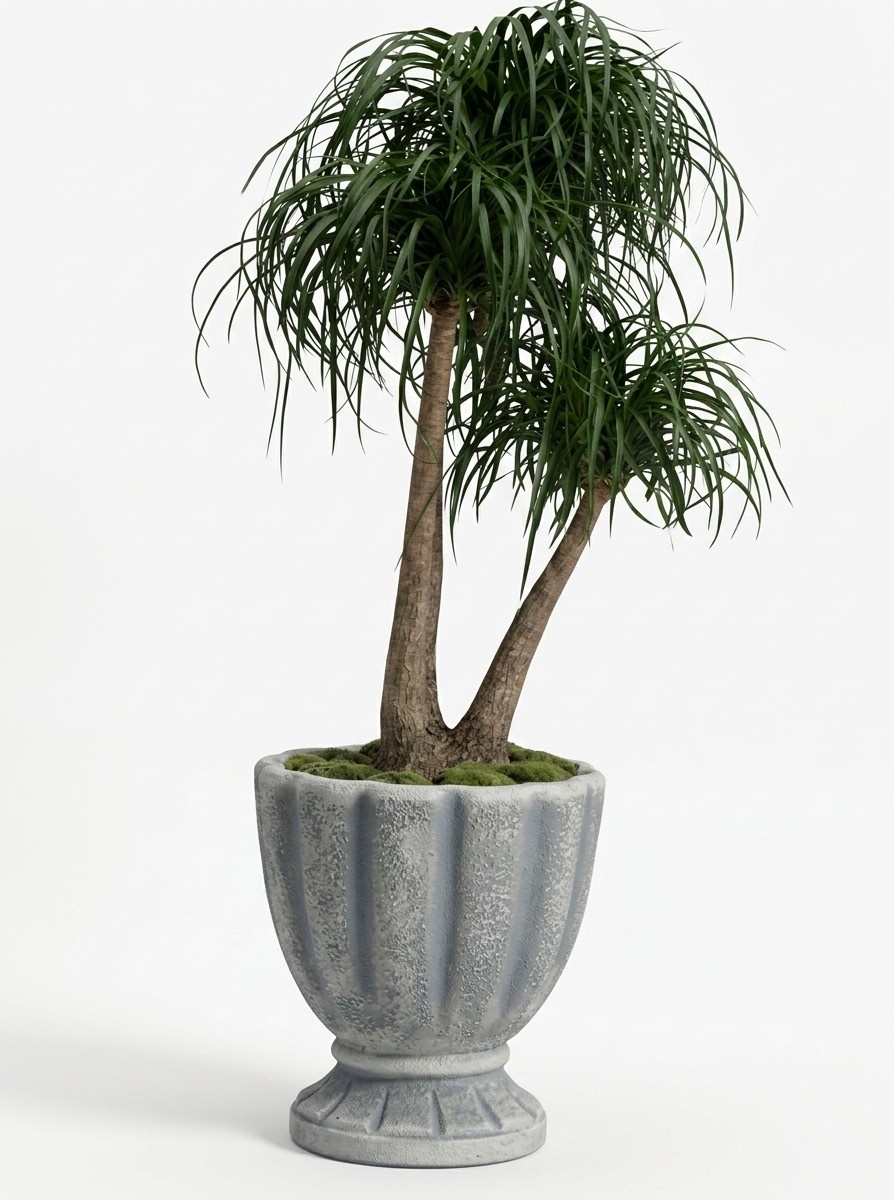 Design Flower Pot Top Planter Vessel Pots Figure Face Sculpture S104045