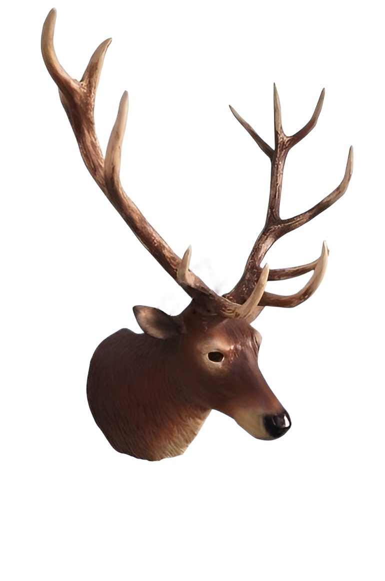 Wall decorative sculpture designed as a natural brown colored reindeer head with massive horns 125x80cm
