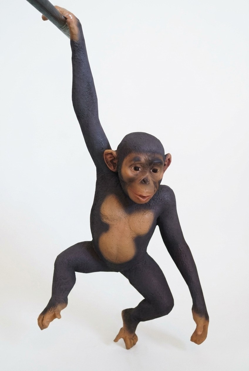 Monkey hanging on a tree decorative sculpture in gloss natural brown colored 95x36x30cm