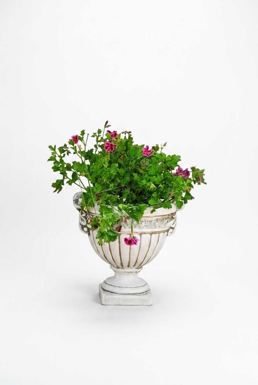 Flower pot plant pot decoration figure flower pots garden vases 556
