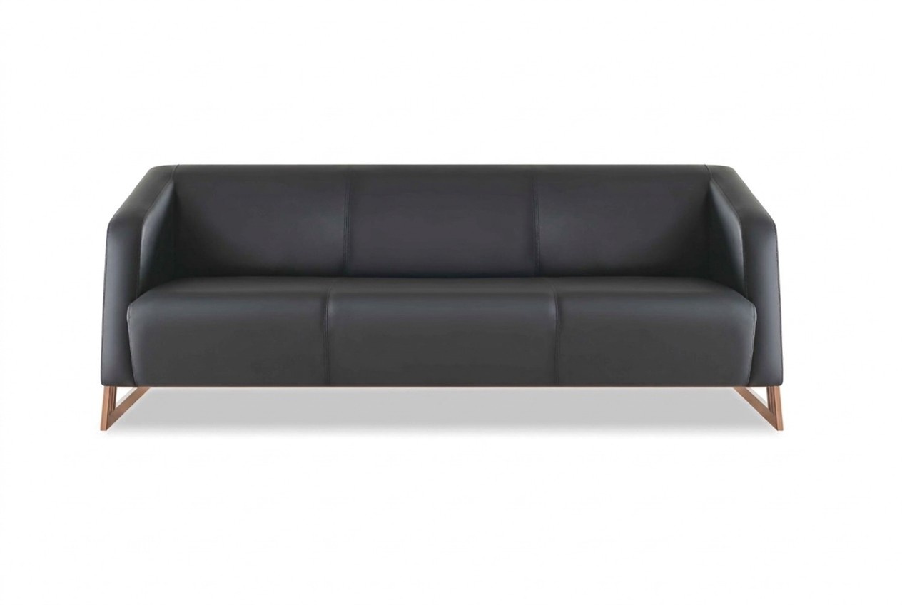 Leather Sofa 3-Seater Modern Black Leather Wooden Three-Seater Couch with Armrests