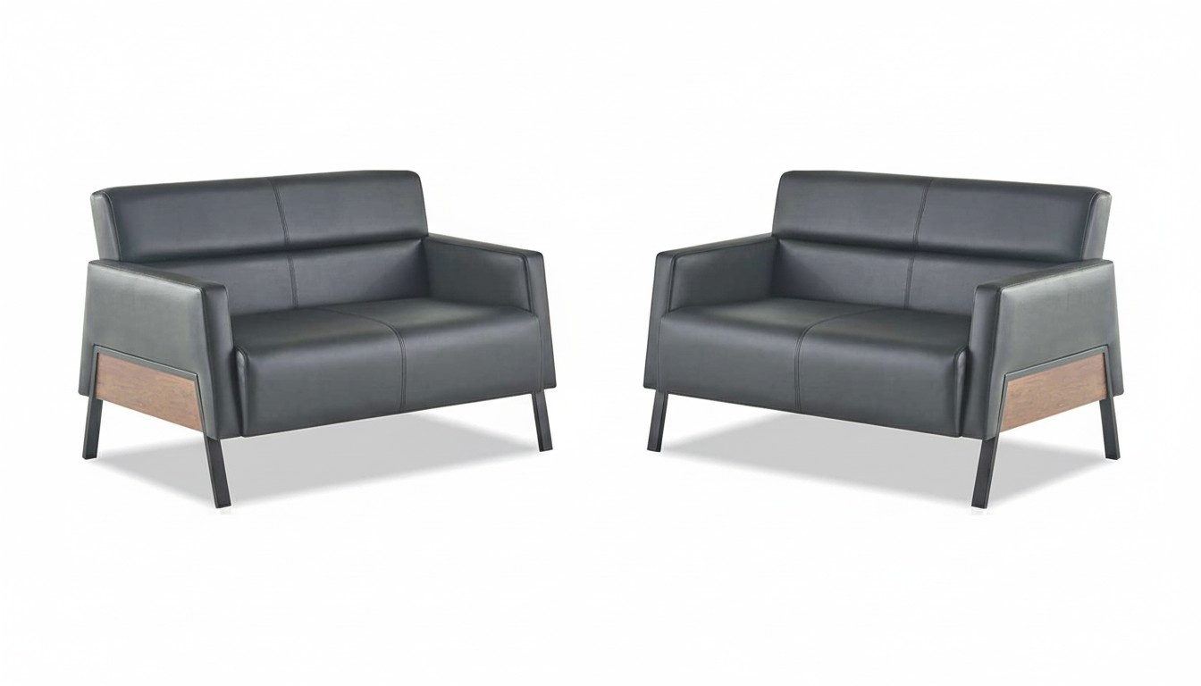 Leather sofa set 2-seater black modern couch leather stainless steel wood soft