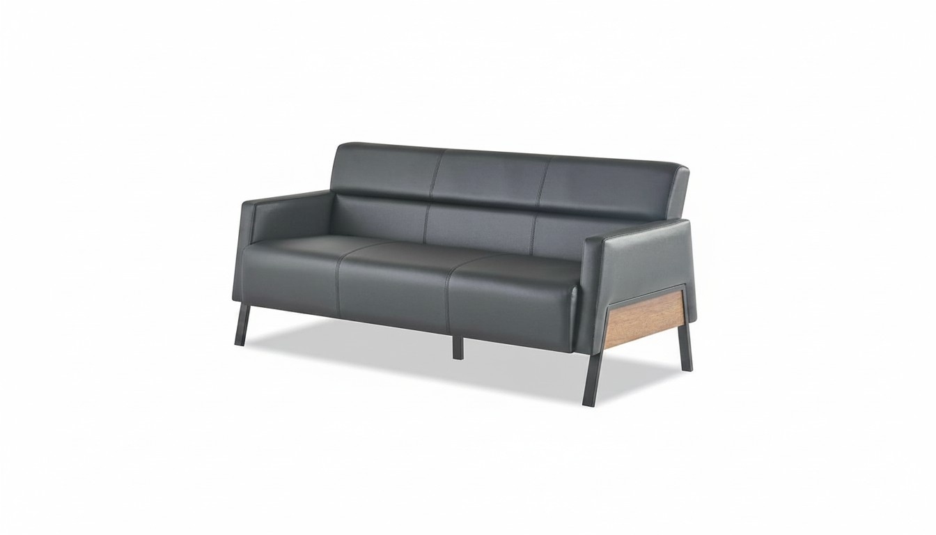 Ledesofa Sofa Black 3-Seater Leather Modern Wood Stainless Steel