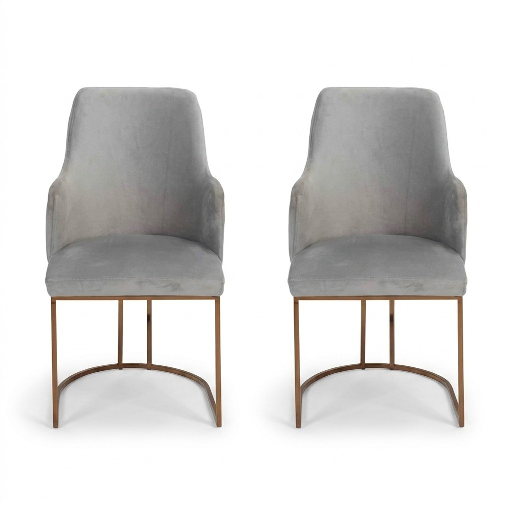 Modern dining chair kitchen chairs luxury design 2x chairs armchairs grey new