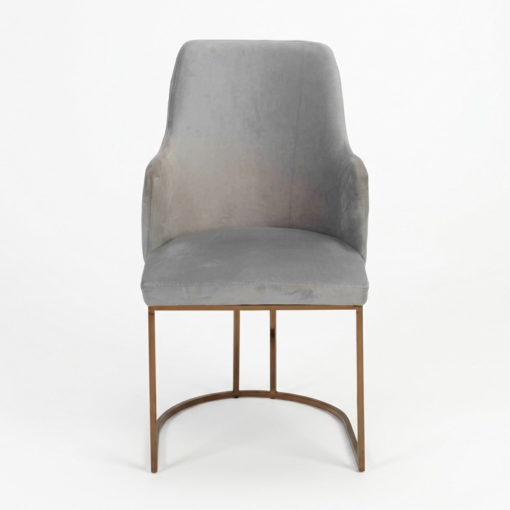 Modern dining chair kitchen chairs luxury design chair armchairs grey new