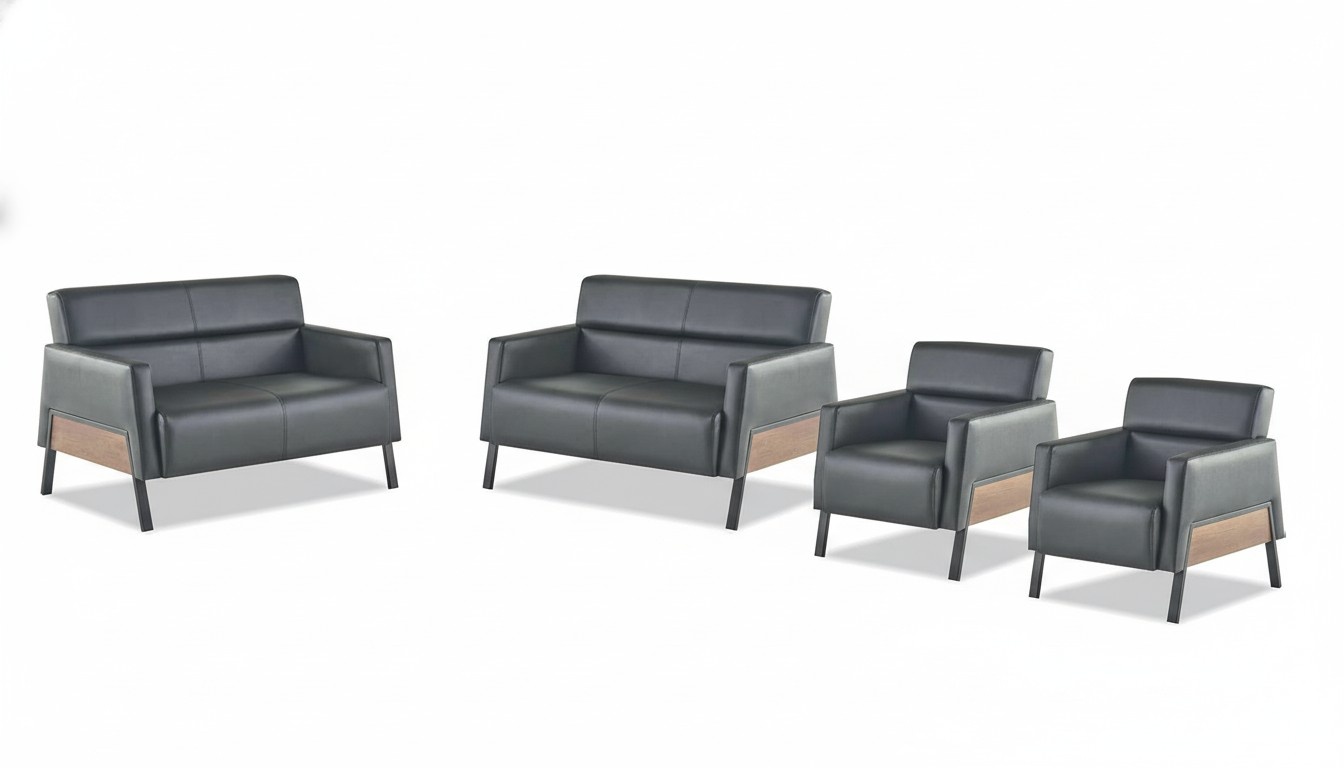 Leather Furniture Set Leather Sofa 2-Seater Armchair Modern Black Stainless Steel