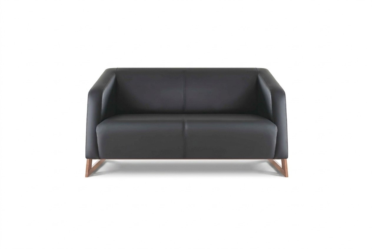 Sofa 2-Seater Black Leather Sofa Couch Modern Stainless Steel Leather Wood Soft