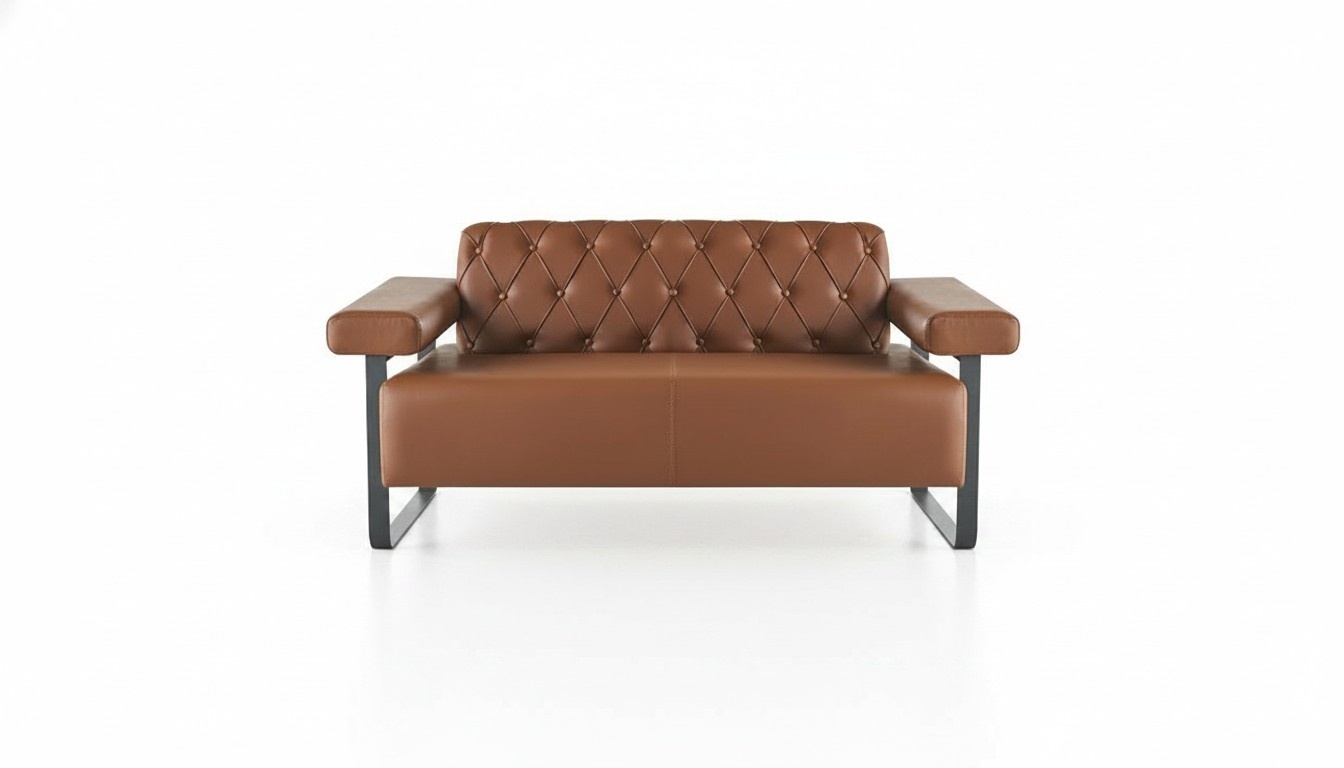 Brown Leather Sofa 2-Seater Modern Chesterfield Stainless Steel Living Room