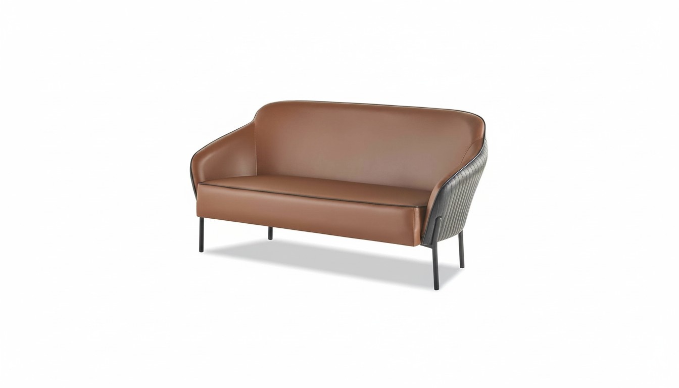Brown Black 2-Seater Sofa Modern Couch Leather Sofa Stainless Steel