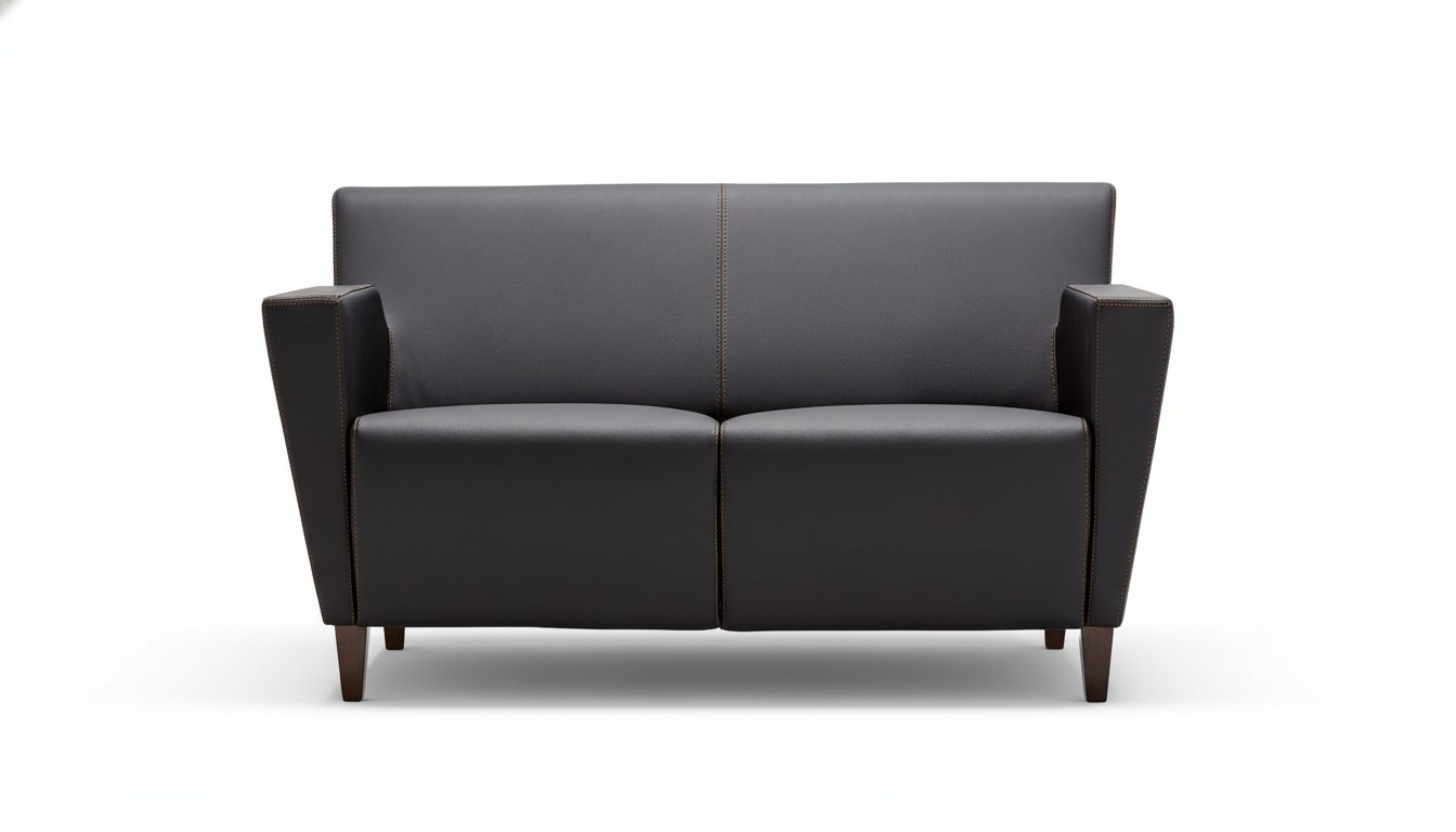 Sofa 2-seater office furniture upholstery design luxury couch leather sofas