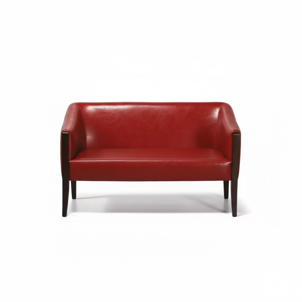 Sofa 2 seater study style modern textile furniture office furniture luxury couch