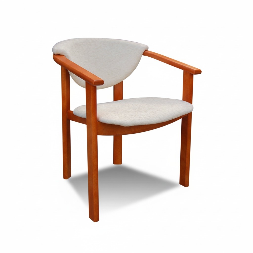 MASSIVE WOOD CHAIR DINING ROOM CHAIR DESIGNER LEATHER CHAIR CHAIRS DINING ROOM CHAIRS K27