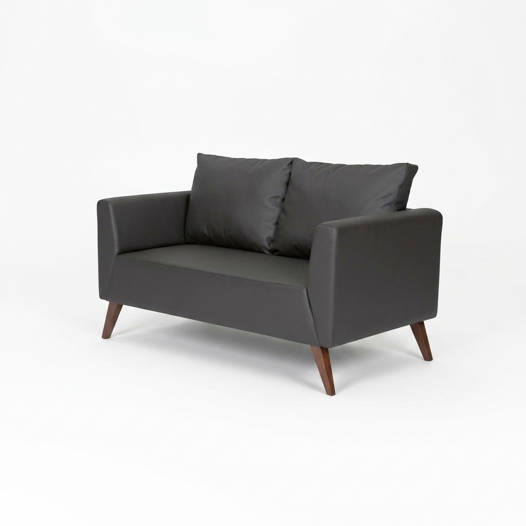 Stylish Two Seater Modern Black Couch Study Furniture Office