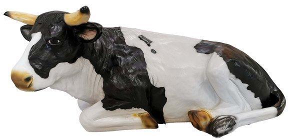 Motley black white colored decorative garden sculpture designed as a resting cow (A138A)