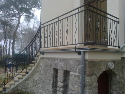Classic steel staircase wrought iron stair balcony railing custom made 144