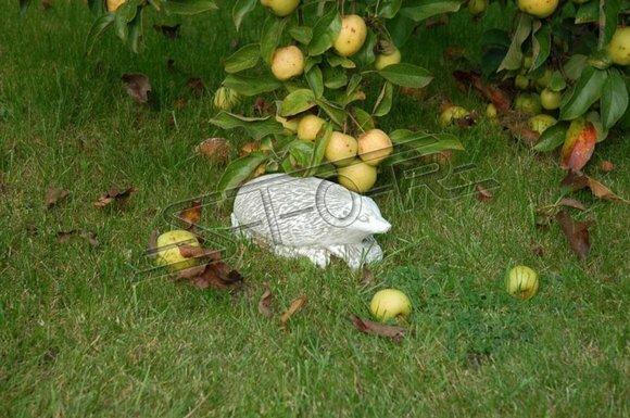 Garden decoration hedgehog terrace stone figures figure decoration statue sculpture 524 new