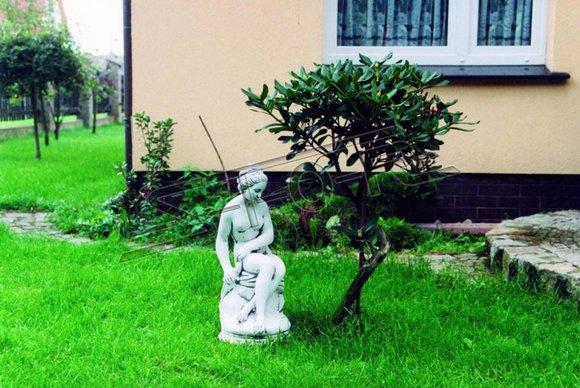 Lady figure statue figures statues sculpture sculptures garden 60cm decoration
