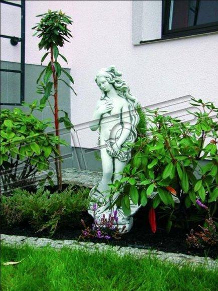 Venus 85cm sculpture design figure statue garden figures statues sculptures 184