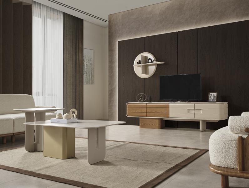 Living room set side table coffee table TV stand wall shelf wooden furniture