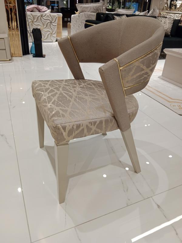 Luxurious chair designer Clear lines chair and elegance New Modern