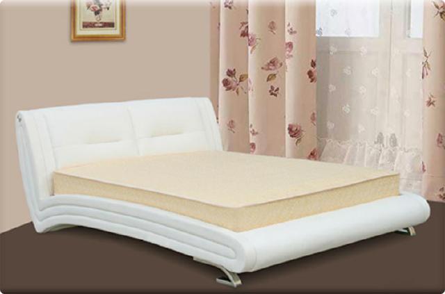 Waterbed Bed Leather Bed Upholstered Bed with Mattress New JANA Beds Complete