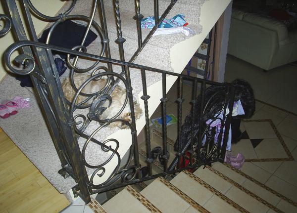 Classic railing handcrafted balcony stair wrought iron fence 1 linear meter #177