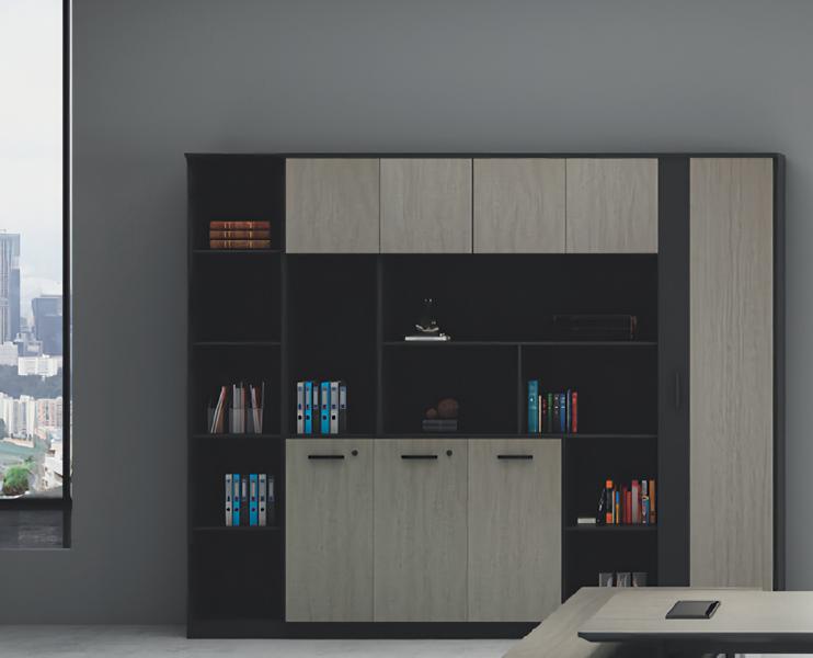 Office cabinets, filing cabinets, document cabinets, archive cabinets, administrative cabinets