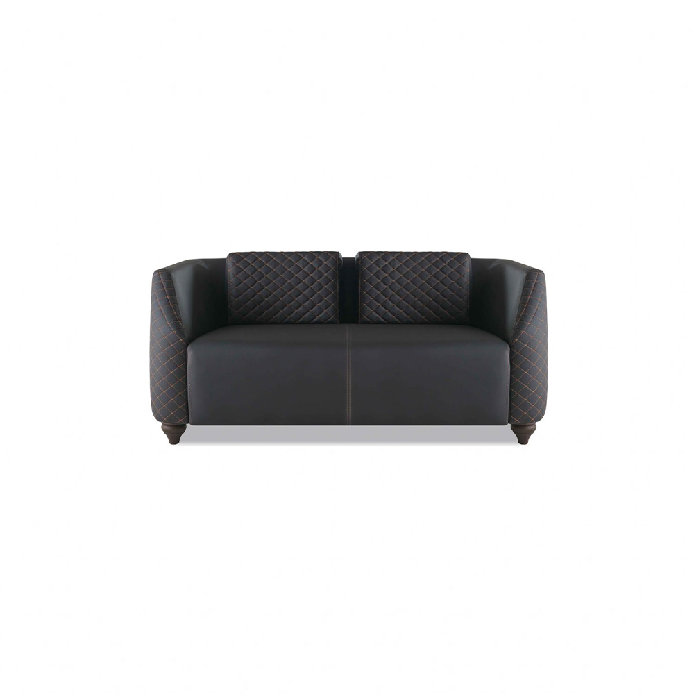 Sofa 2-Seater Upholstered Modern Leather Sofa Black with Cushions Upholstery Wood