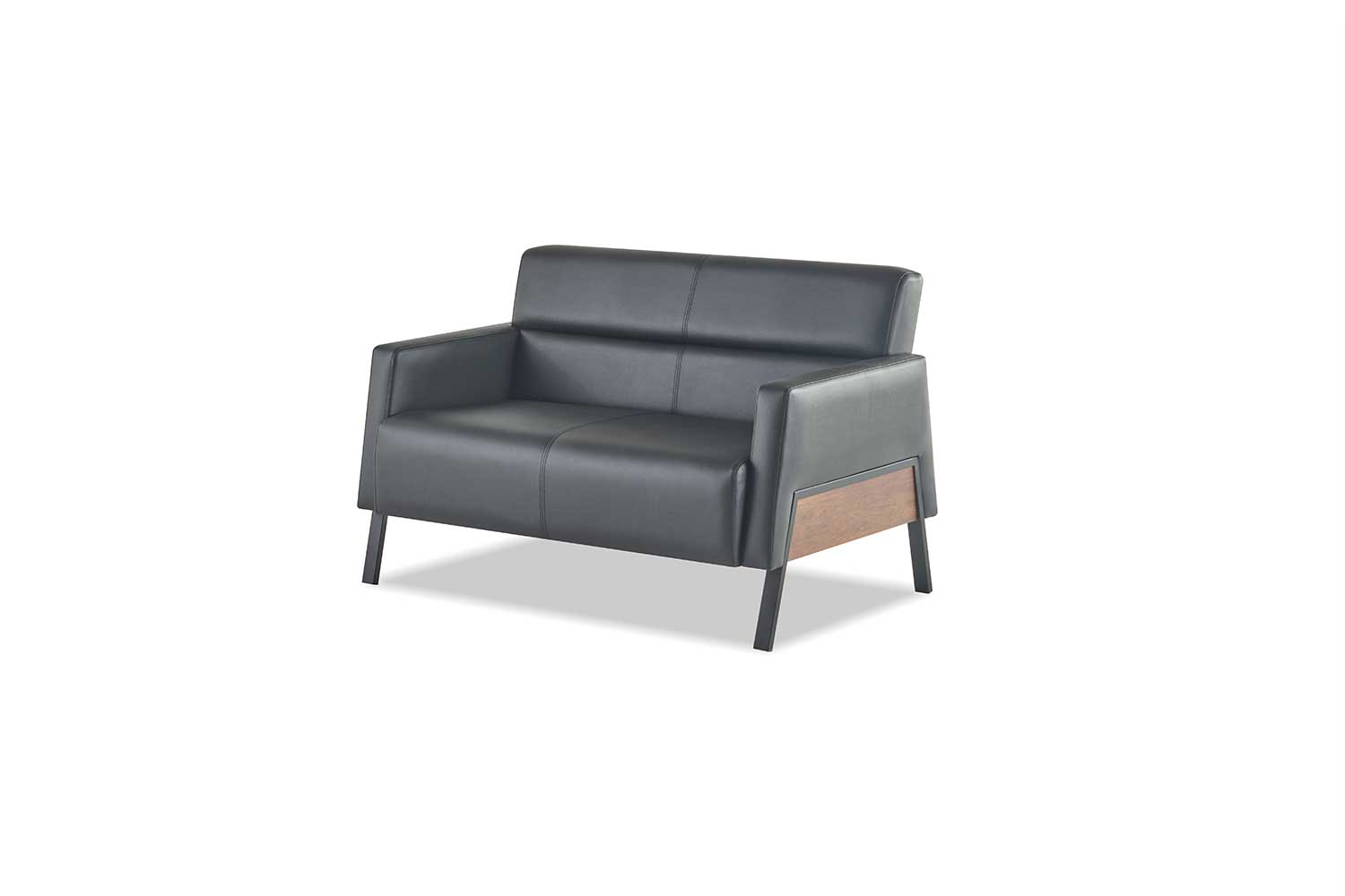 Black Sofa 2-Seater Leather Sofa Modern Couch Leather Stainless Steel Two-Seater