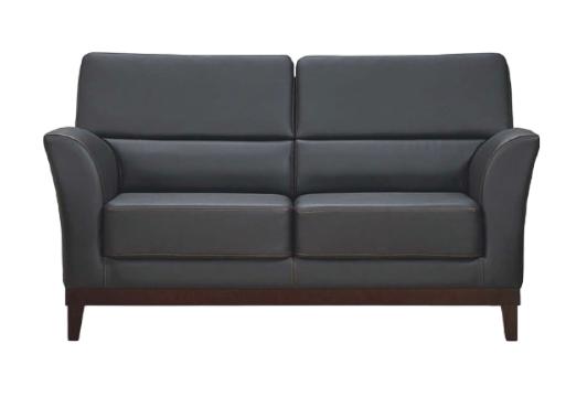 2-seater sofa couch upholstered sofas design sofa club leather